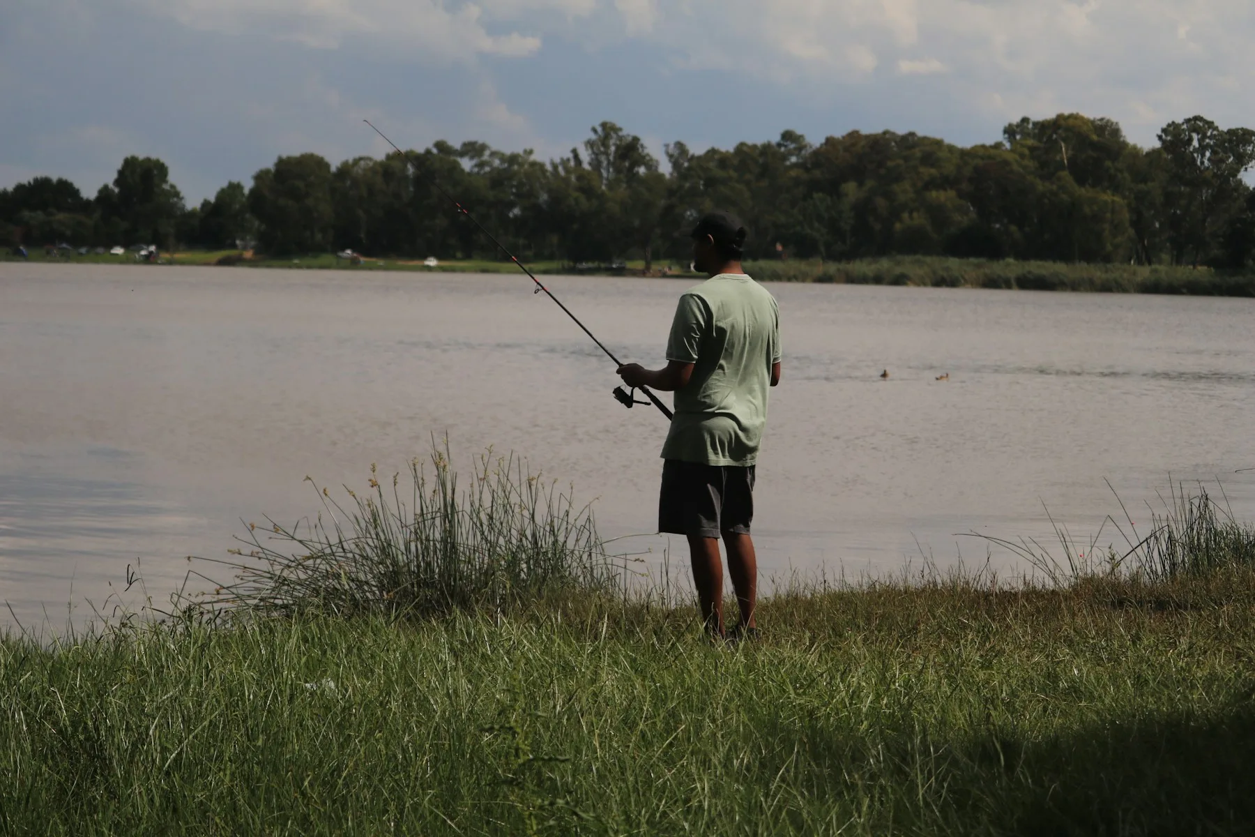 An angler at a grassy, tree-lined lakeshore